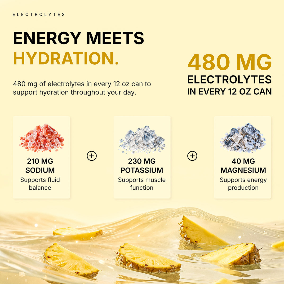 Energy + Electrolyte Drink – Variety Pack